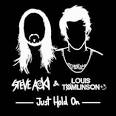 Louis Tomlinson - Just Hold On